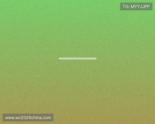 波黑与瑞士比赛战术分析:世界杯赛场上的战术布置与关键战术点 波黑与瑞士比赛战术分析:世界杯赛场上的战术布置与关键战术点